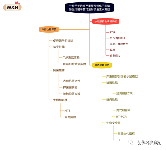 新型可注射的自愈水凝膠，具有生物降解性和生物安全性，減少局部和全身的炎癥和感染，并防止多器官衰竭